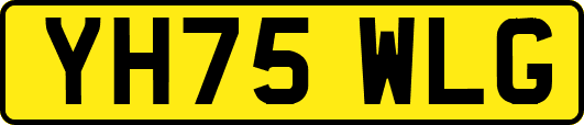 YH75WLG