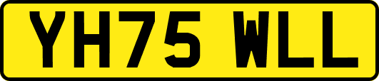 YH75WLL