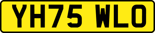 YH75WLO