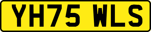 YH75WLS