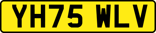 YH75WLV