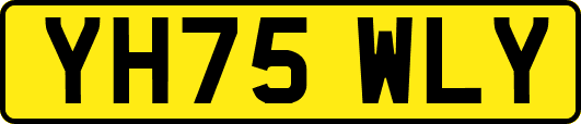 YH75WLY
