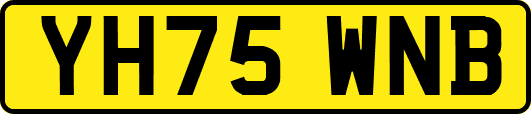 YH75WNB