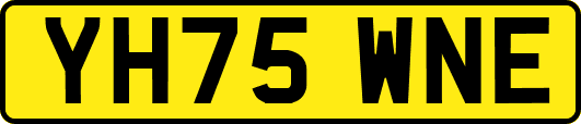 YH75WNE