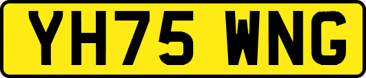 YH75WNG
