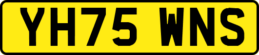 YH75WNS