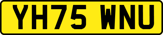 YH75WNU