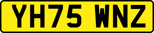 YH75WNZ