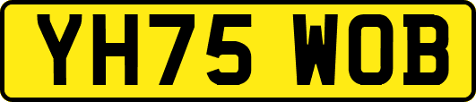 YH75WOB