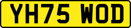 YH75WOD