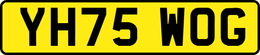 YH75WOG