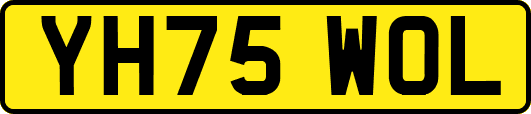 YH75WOL