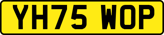 YH75WOP