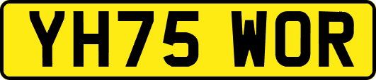 YH75WOR