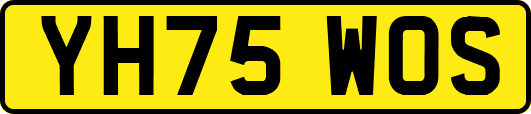 YH75WOS