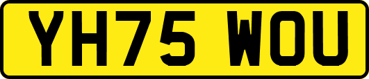 YH75WOU