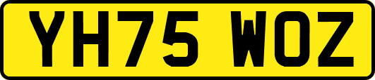 YH75WOZ