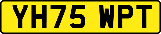 YH75WPT