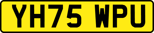 YH75WPU