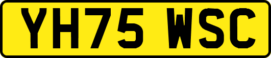 YH75WSC