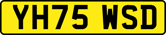 YH75WSD
