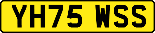 YH75WSS
