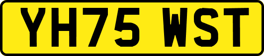 YH75WST