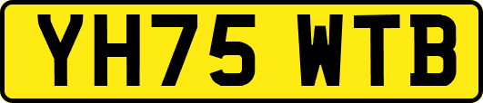 YH75WTB