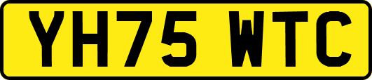 YH75WTC