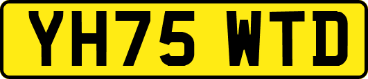 YH75WTD