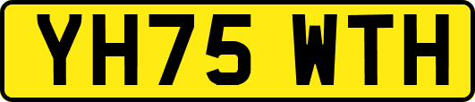 YH75WTH