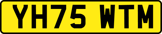 YH75WTM