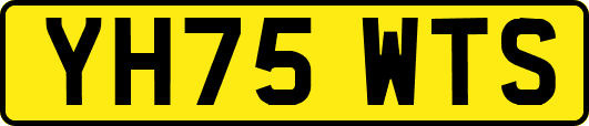 YH75WTS