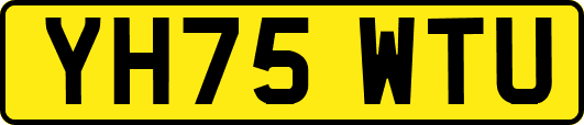 YH75WTU