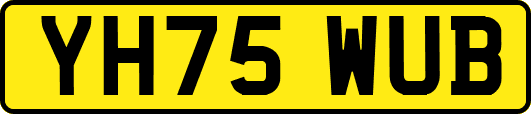YH75WUB