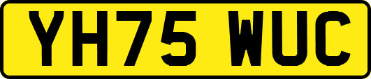 YH75WUC