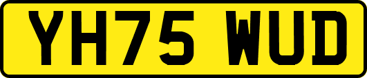YH75WUD