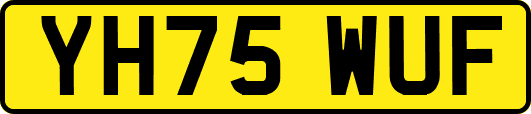 YH75WUF