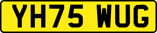 YH75WUG
