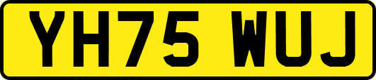 YH75WUJ