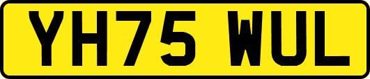 YH75WUL