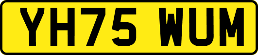 YH75WUM
