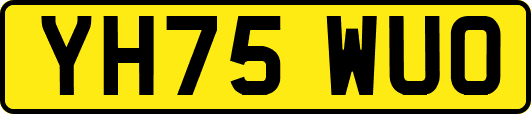 YH75WUO
