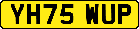 YH75WUP