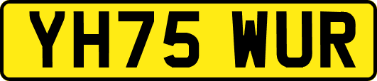 YH75WUR
