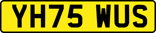 YH75WUS