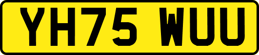 YH75WUU