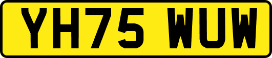 YH75WUW