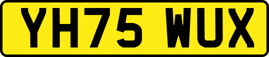YH75WUX