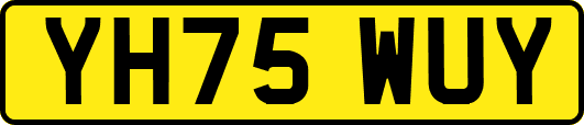 YH75WUY